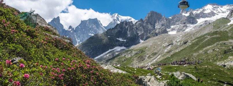 La natura del Monte Bianco non si ferma, riapre il Giardino Botanico Saussurea