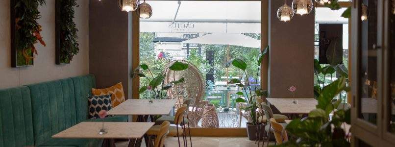 Cactus Kitchen & Bar, l'oasi green e naturale a Milano
| La Cucina Italiana