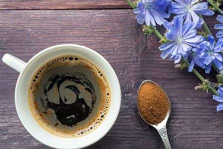 Caffè di cicoria: proprietà e benefici per l'organismo
