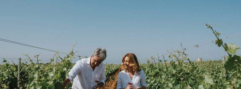 Dalla Puglia, la riscoperta del vino Susumaniello