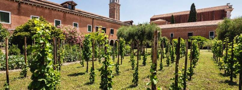 Weekend a Venezia tra antiche vigne, pinot grigio e cicchetti stellati